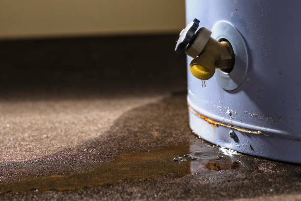 Best Mold removal after water damage  in Dickson, OK