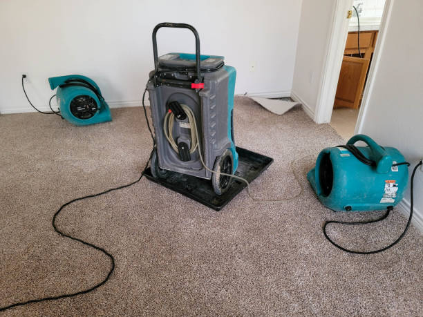  Dickson, OK Water damage restoration Pros
