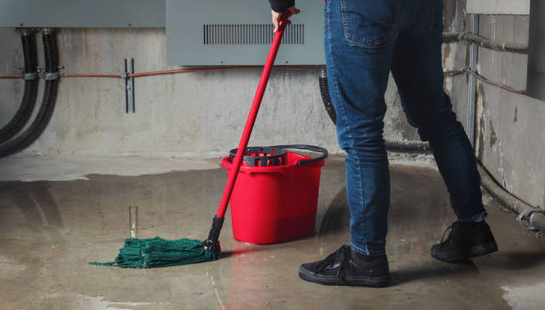 Best Basement water damage restoration  in Dickson, OK