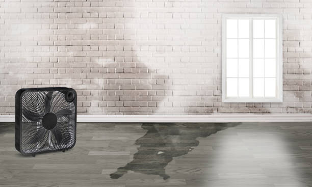 Best Flood restoration services  in Dickson, OK