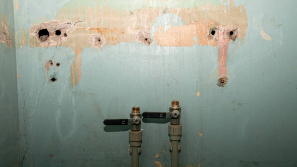 Best Water damage restoration near me  in Dickson, OK